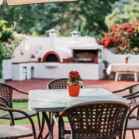 Apartmán Greek Style With Jaquzzi & Barbeque Ialysos (Rhodes)